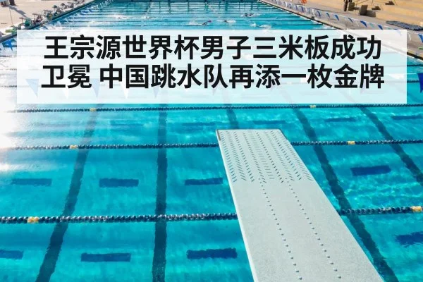 王宗源世界杯男子三米板成功卫冕 中国跳水队再添一枚金牌